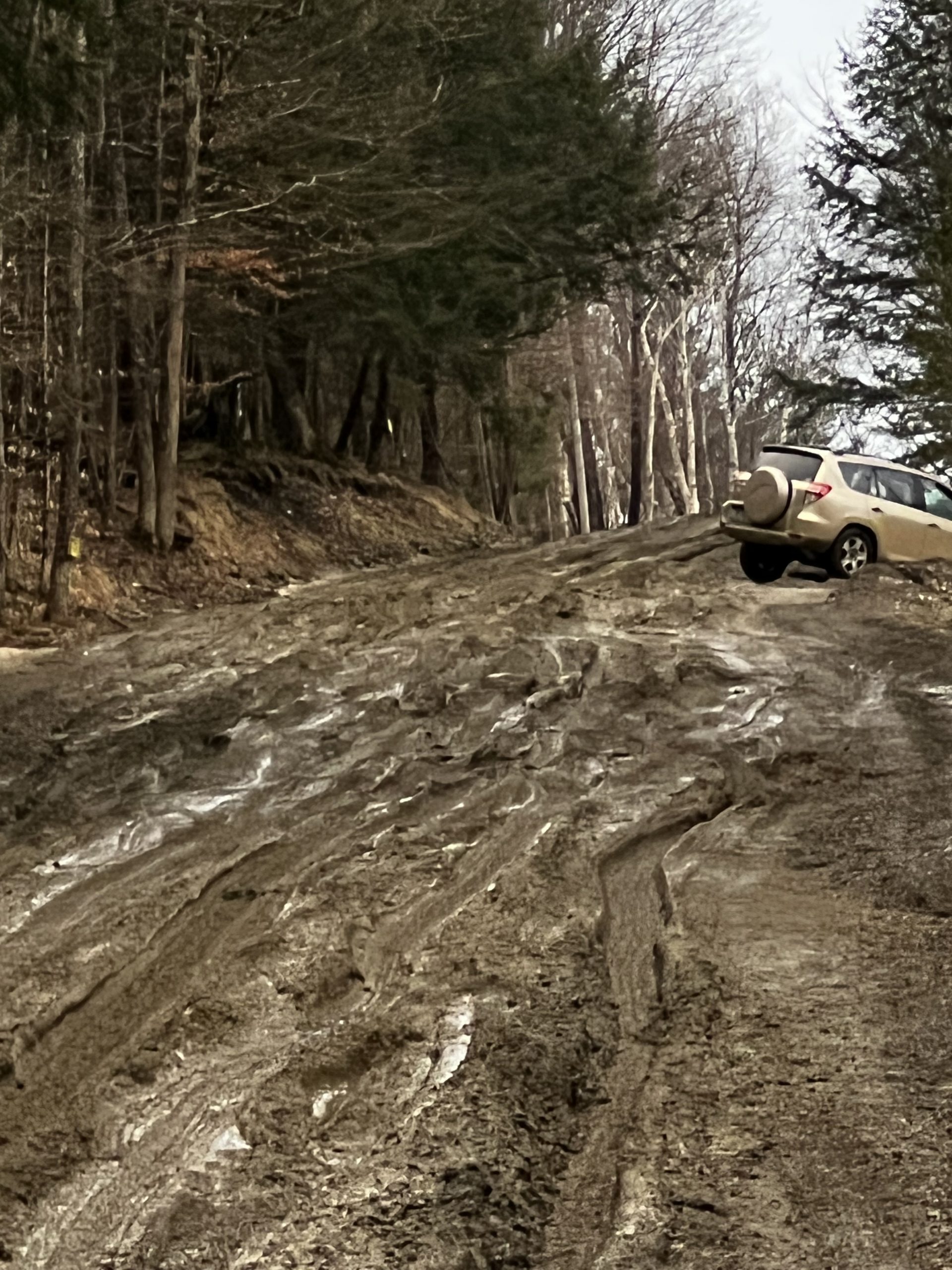 The Road To Great BBQ